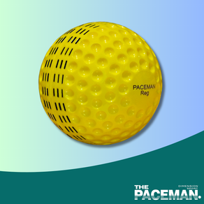 Paceman REG Ball - Pack of 12
